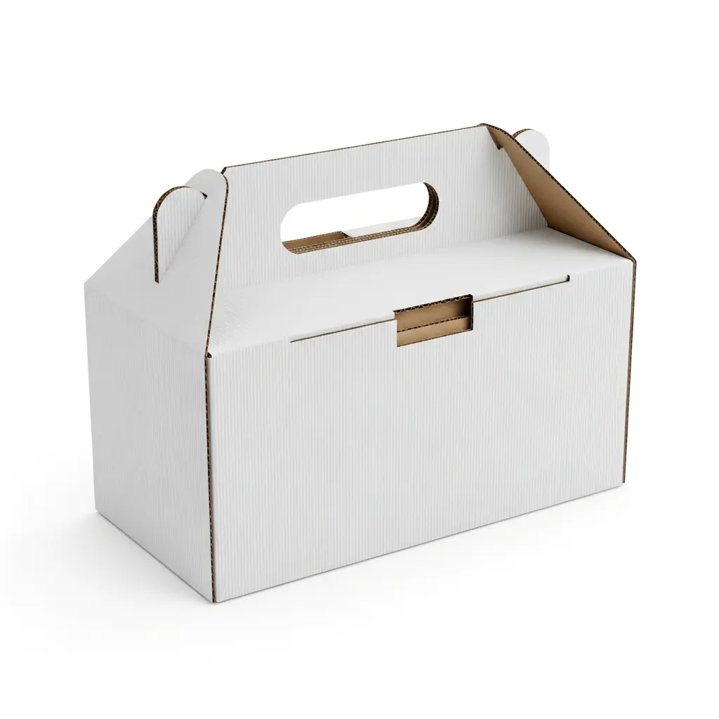 Carry Box with Handle