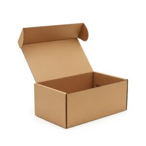 Corrugated Mailer Box